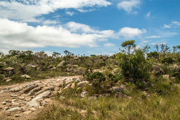 National park brazil serra da canastra