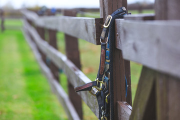Horse bridles hanging on the fence of fenced area with shallow depth of field and selective focus...