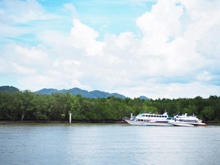Obraz na płótnie Canvas yachts docking at the pier