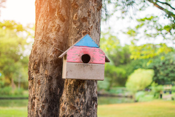Little Squirrel tree house on tree in the park. subject is blurred.