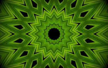 Abstract greenery background, palm leaves with kaleidoscope effect, mandala flora geometric pattern.