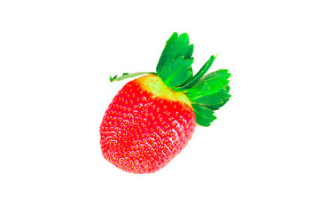 single strawberry