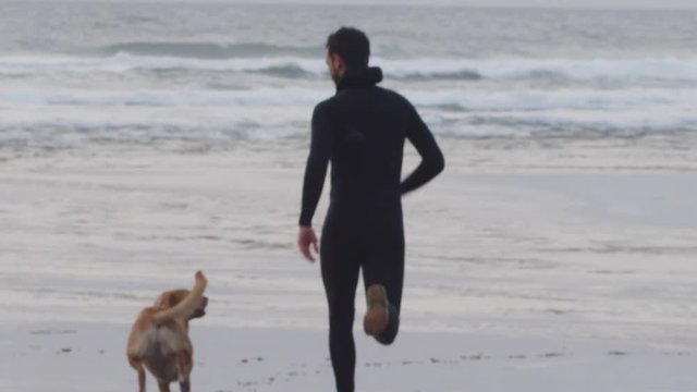 Handheld shot of man playing with dog at beach