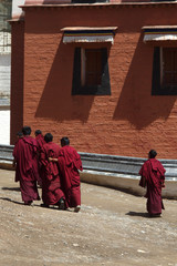 monks walking at labrang  monastery ,Xiahe,china