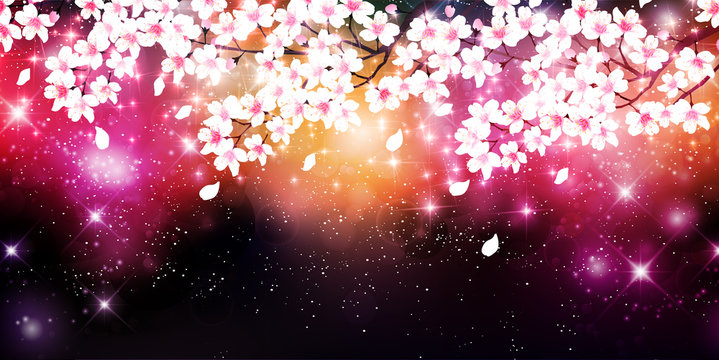 桜　春　花　背景