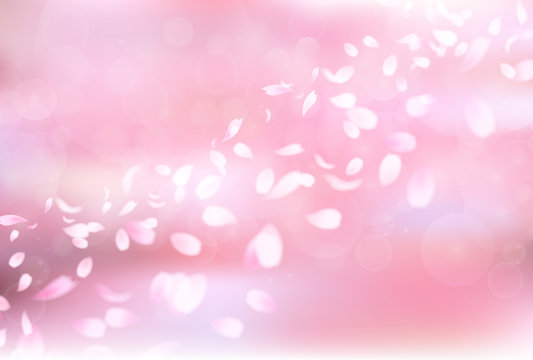 桜　春　花　背景
