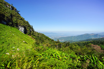 Landscape of Phu Chee Fa, Chiang Rai Thailand