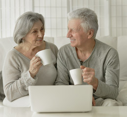  beautiful senior couple using laptop at home