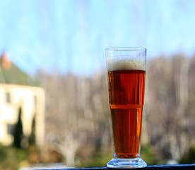 A glass with beer on a blurred natural background. Cold Beer is the best drink on a hot summer day.