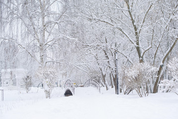Park in winter. Snowy day. Winter concept.