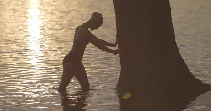 Side view of swimmer exercising by tree trunk in lake during sunset