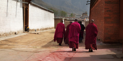 monks walking at labrang  monastery ,Xiahe,china