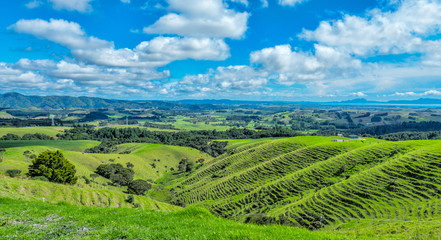 A panorama view of countryside in New Zealand