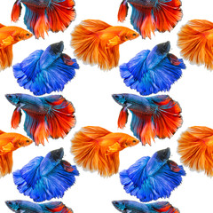 Fototapeta na wymiar seamless pattern background of Siamese fighting fish