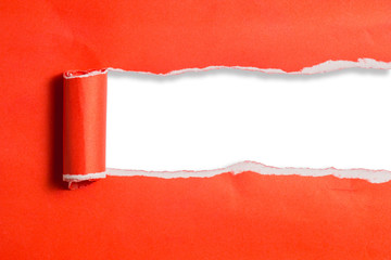 red torn paper with edges on white paper and text copy space. Using idea design background or wallpaper.