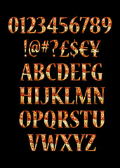 Font lamp symbol, gold letter and numbers set.