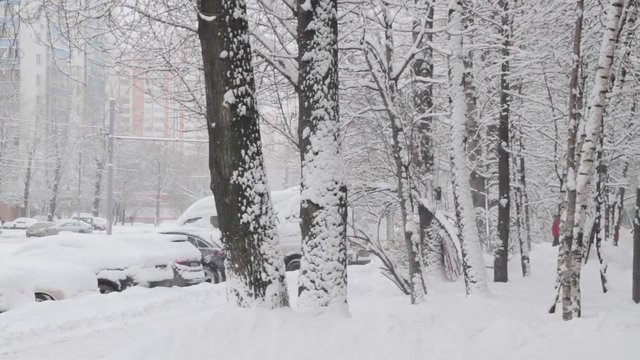 Snowy street of town, snow calamity.