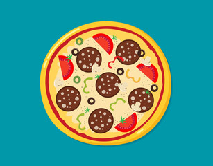 vector illustration of italian pizza