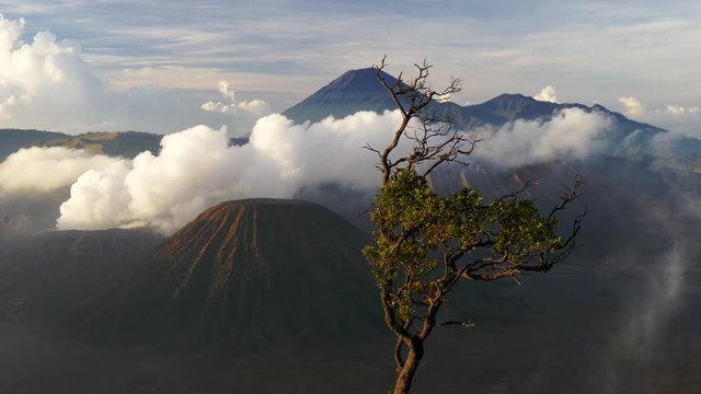 Smoke comes from the Mount Bromo which is an active volcano and is located in Bromo Tengger Semeru National Park, East Java, Indonesia.