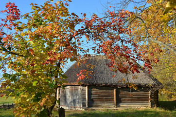 Ancient wooden barn