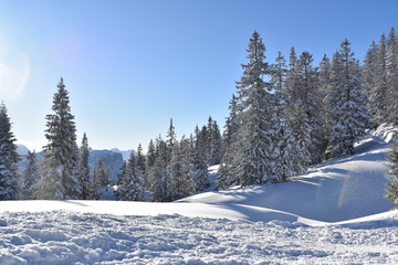 Winterzauber