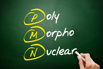 PMN - PolyMorphoNuclear acronym, concept on blackboard