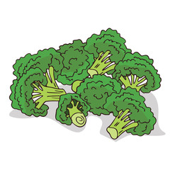 Isolate ripe broccoli stalks on white background. Close up clipart with shadow in flat realistic cartoon style. Hand drawn icon