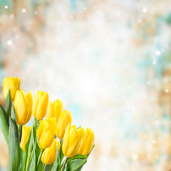 Fototapeta na wymiar Holiday background with tulip flowers