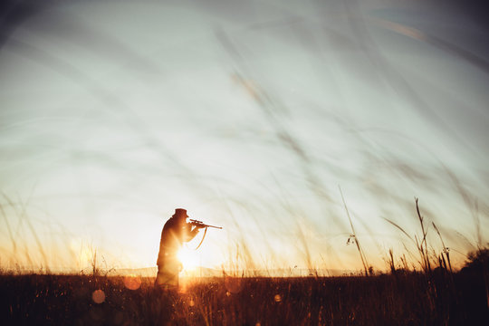 Hunter loading sniper and shooting prey in long grass