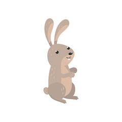 Fototapeta na wymiar Cute hare woodland cartoon animal vector Illustration
