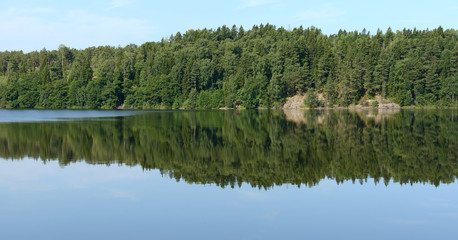Mirror reflection of forest in still water. Aland Islands, Finland. Summer