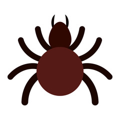 tick insect icon