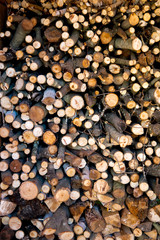 Pile of dry stacked firewood for winter