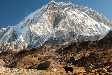 View from mountain near Lobuche to Lhotse and Nuptse - Nepal, Himalayas