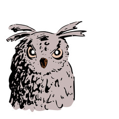 Fototapeta premium Uil poster