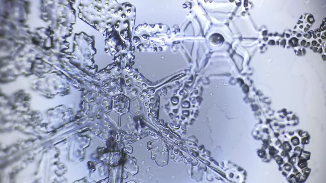 Background from crystal branches of pair snowflake in microscope