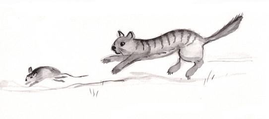 Cat and mouse