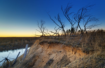 The sun at sunset illuminates the river bank.