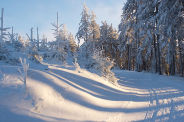 Skiloipe am Rennsteig mit Wintersonne, Skispur im Schnee, Winterlandschaft