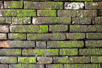 Patterns of the old wall.