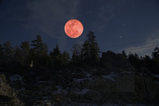 Super Blue Blood Moon