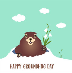 Happy groundhog day card. Holiday winter and spring banner rodent february, spring flower snowdrop clouds woodchuck cute shadow cartoon vector illustration, hole fun. Character animal mammal.