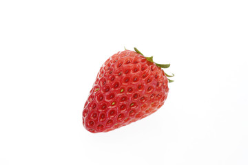 イチゴ　紅ほっぺ　愛知産　白抜き