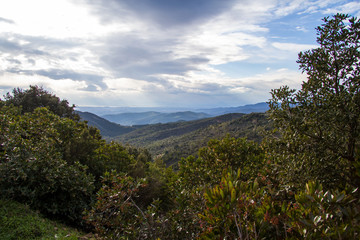 BURCEI: panorama campestre - Sardegna