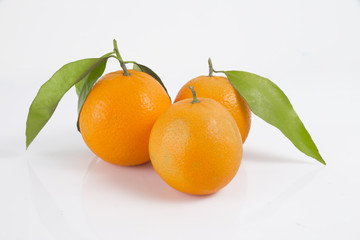 fresh fruit collection oranges isolated on white background.