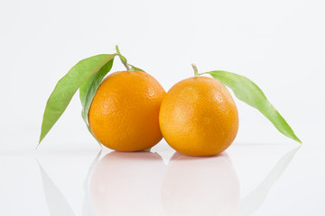 fresh fruit collection oranges isolated on white background.