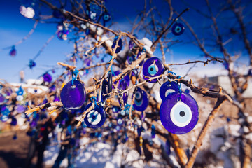 Nazar, charms to ward off the evil eye , on the branches of a tree in Turkey