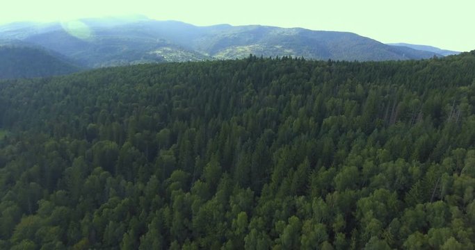 Forests and mountains 4K
