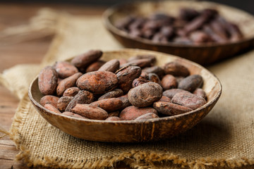 cacao beans in a bowl