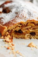 apple strudel close up